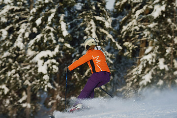Image showing winter  people fun and ski