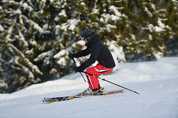 Image showing winter  people fun and ski