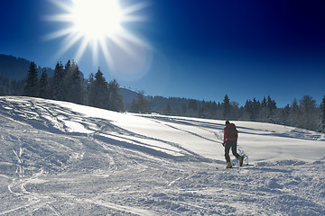 Image showing winter  people fun and ski