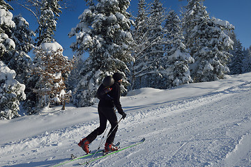 Image showing winter  people fun and ski