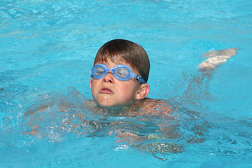 Image showing Swimming