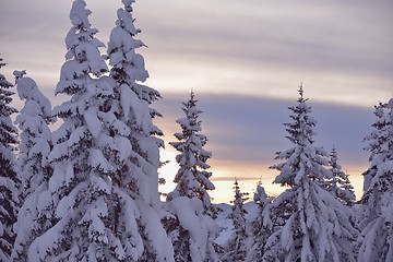 Image showing mountain winter landscape