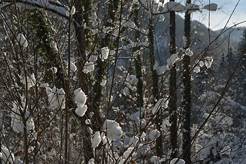 Image showing mountain winter landscape