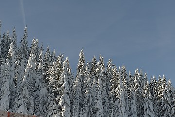 Image showing mountain winter landscape