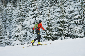Image showing winter  people fun and ski