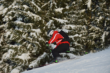 Image showing winter  people fun and ski