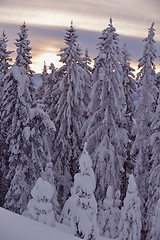 Image showing mountain winter landscape