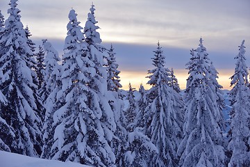 Image showing mountain winter landscape