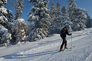 Image showing winter  people fun and ski