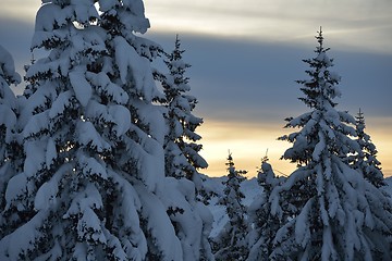 Image showing mountain winter landscape