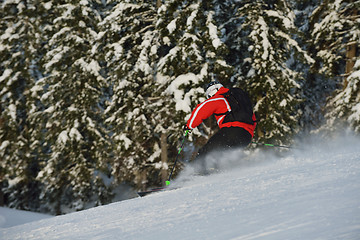 Image showing winter  people fun and ski