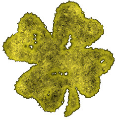 Image showing Shamrock burnt parchment