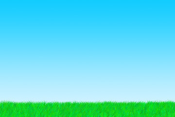 Image showing Grass on a sunny day