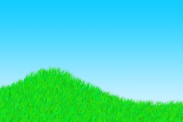 Image showing Grass on a sunny day