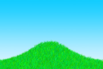 Image showing Grass on a sunny day