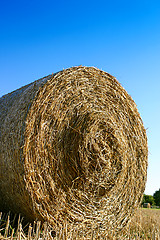 Image showing Hay bale closeup