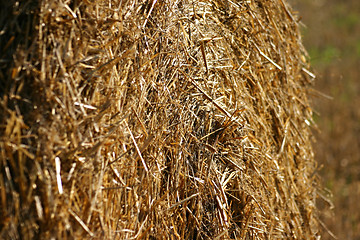 Image showing Hay bale