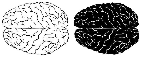 Image showing Human brain