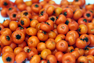 Image showing Orange berries