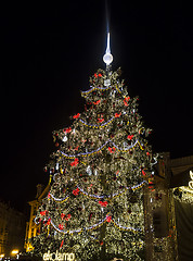 Image showing Christmas Tree