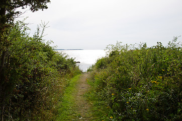 Image showing footpath