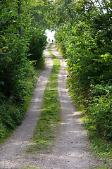 Image showing Road to beach