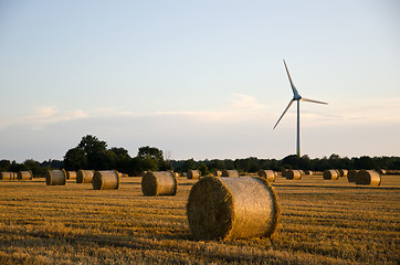 Image showing Strawbales and windmill