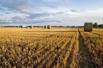 Image showing Strawbales