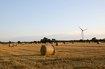 Image showing Strawbales