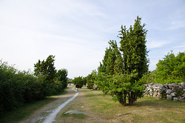 Image showing footpath