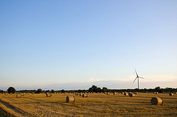 Image showing Harvest