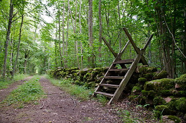 Image showing Stile in the woods