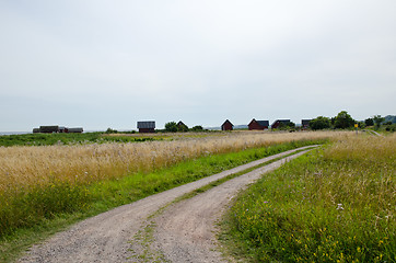 Image showing Country road