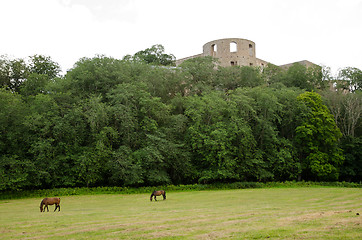 Image showing Ruin