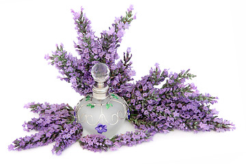 Image showing Lavender Flower Scent