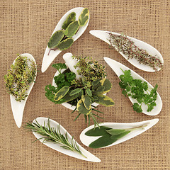 Image showing Herbs