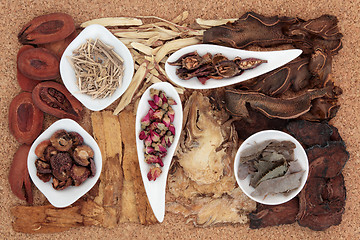 Image showing Chinese Herbal Medicine