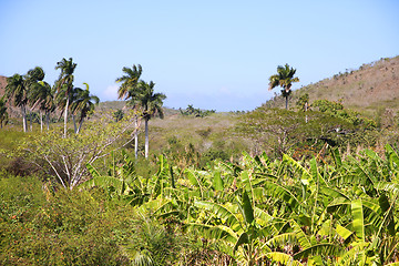 Image showing Cuba