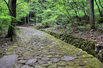 Image showing Nakasendo, Japan