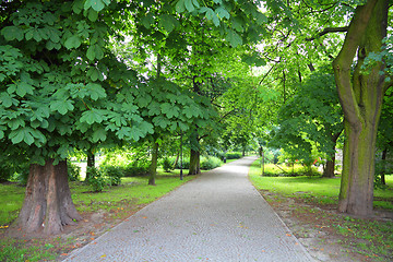 Image showing Kalisz park