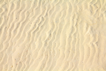 Image showing Yellow sand