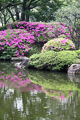 Image showing Tokyo garden