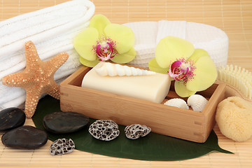 Image showing Tropical Spa Treatment