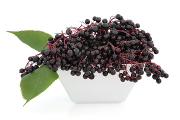 Image showing Elderberry Fruit