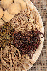 Image showing Chinese Medicinal Herbs