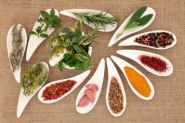 Image showing Spice and Herb Seasoning