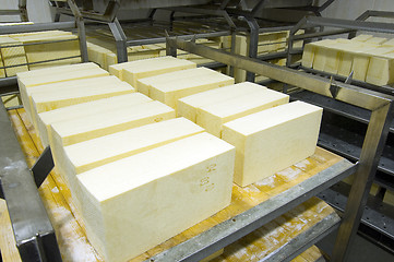 Image showing cheese