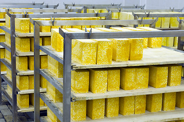 Image showing cheese