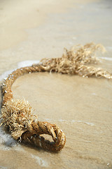 Image showing Beach and rope