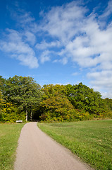 Image showing Bench